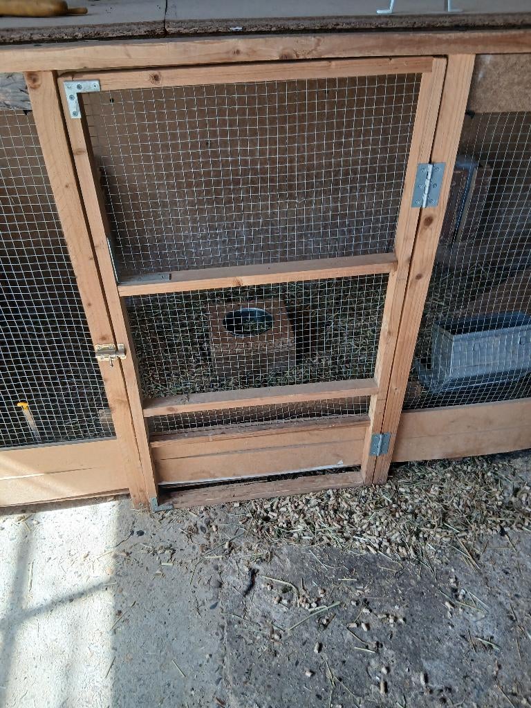 Dieren ren, Dieren en Toebehoren, Ophalen, Ren