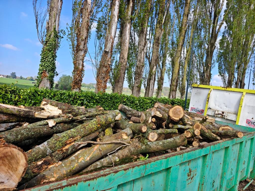 Bois à donner transport payant