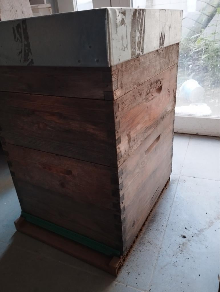 Complete Dadant bijenkast met Nicot bodem, Bijen