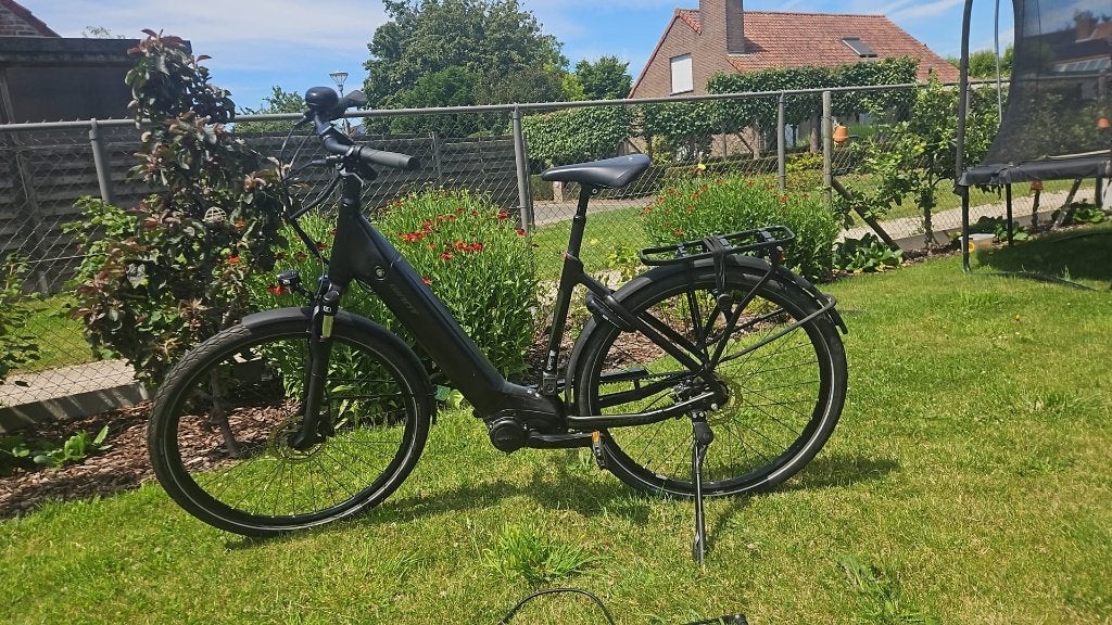 Vélo électrique Giant Daily Tour E+2, Enlèvement, Utilisé, Giant