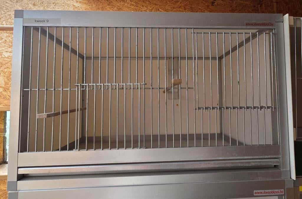 Alu kweekkooien, Dieren en Toebehoren, Ophalen