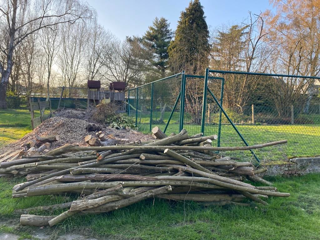 bois de chauffage, Jardin & Terrasse, Enlèvement