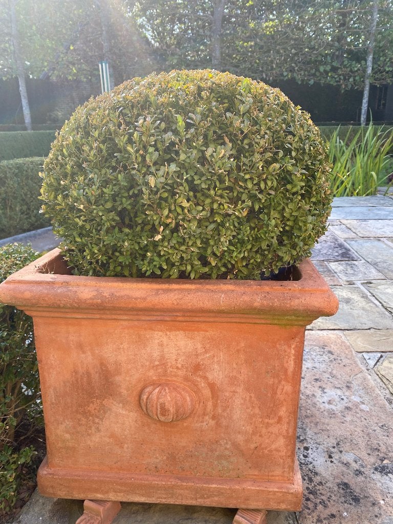 2 GROTE  VIERKANTE TERRACOTTA POTTEN, Tuin en Terras, Ophalen, Gebruikt, 40 cm of meer, Vierkant