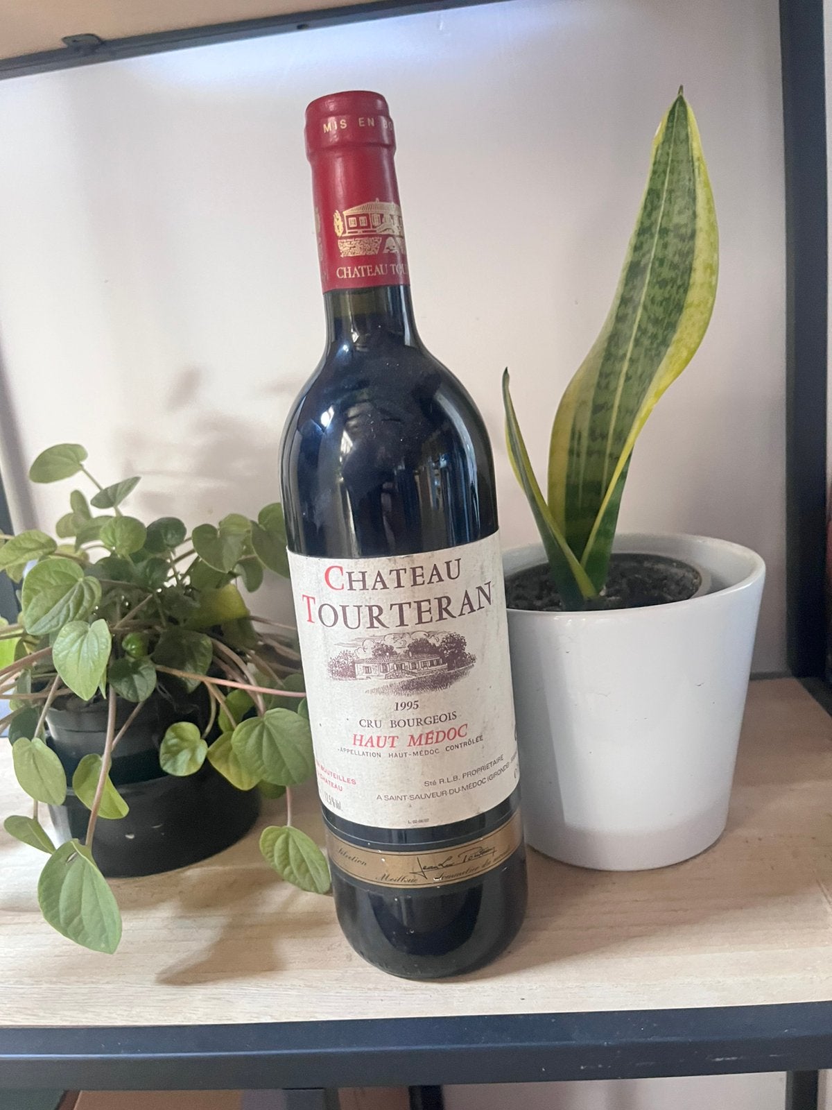 Chateau tourteran 1995, Ophalen, Frankrijk, Zo goed als nieuw, Rode wijn