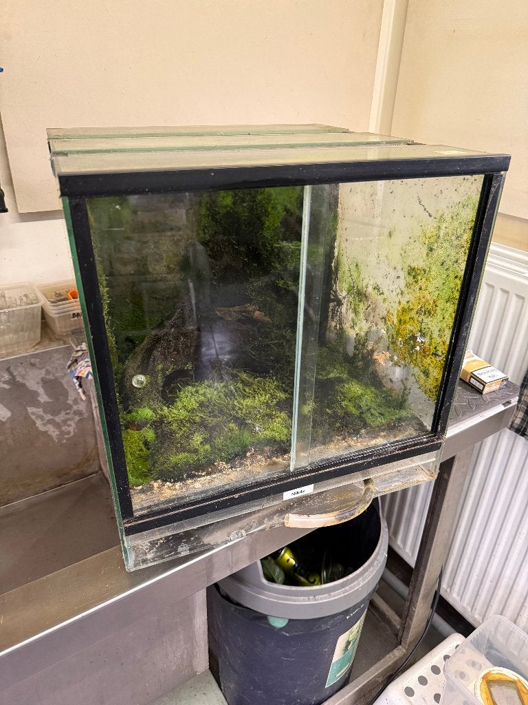 Terrarium - Diverse terraria Rana, Dieren en Toebehoren, Reptielen en Amfibieën | Toebehoren, Gebruikt, Terrarium of Paludarium