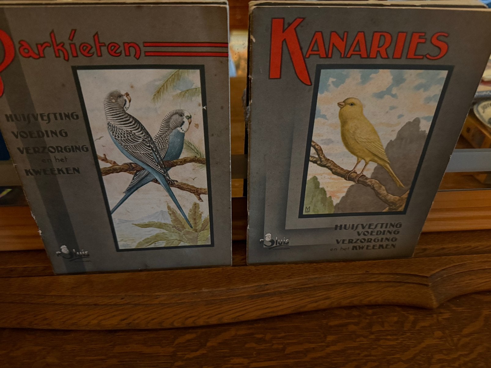 Kanaries - Parkieten, Ophalen of Verzenden, Zo goed als nieuw, Vogels