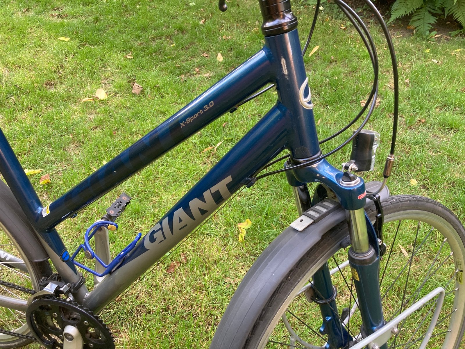 Giant sportieve damesfiets - trekking, Ophalen, Gebruikt, Meer dan 20 versnellingen, Giant