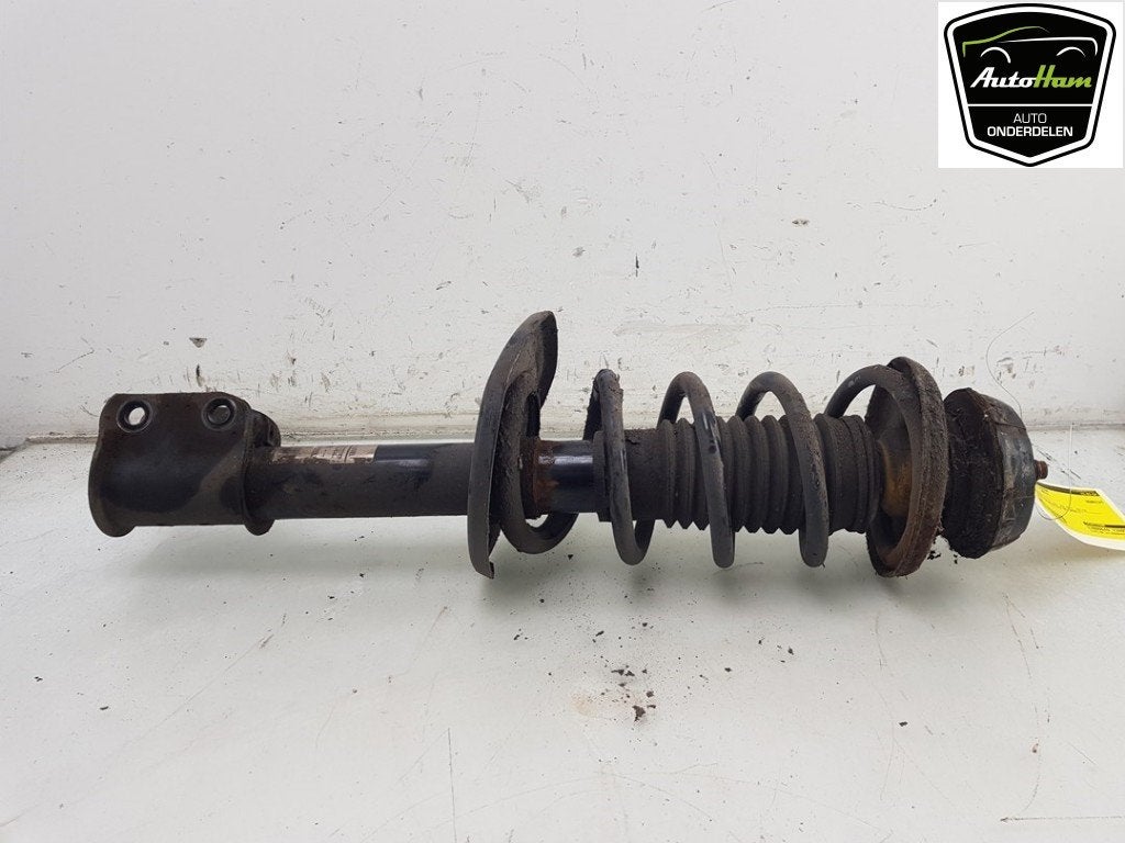 SCHOKBREKER RECHTS VOOR Dacia Lodgy (JS) (|543023390R|), Dacia, Dhr. J. Ham, Gebruikt, Administratie@autoham.nl