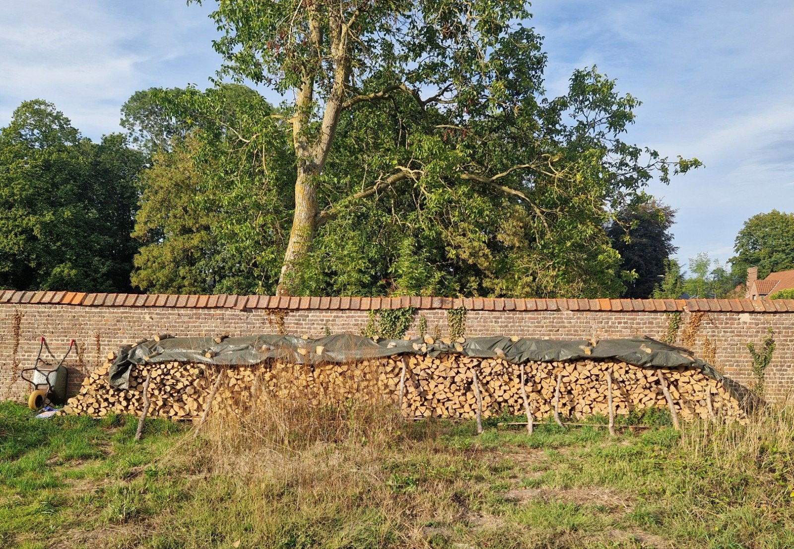 Bois de chauffage - 100% frêne - 30 cm, 6 m³ of meer, Ophalen of Verzenden, Essenhout, Blokken