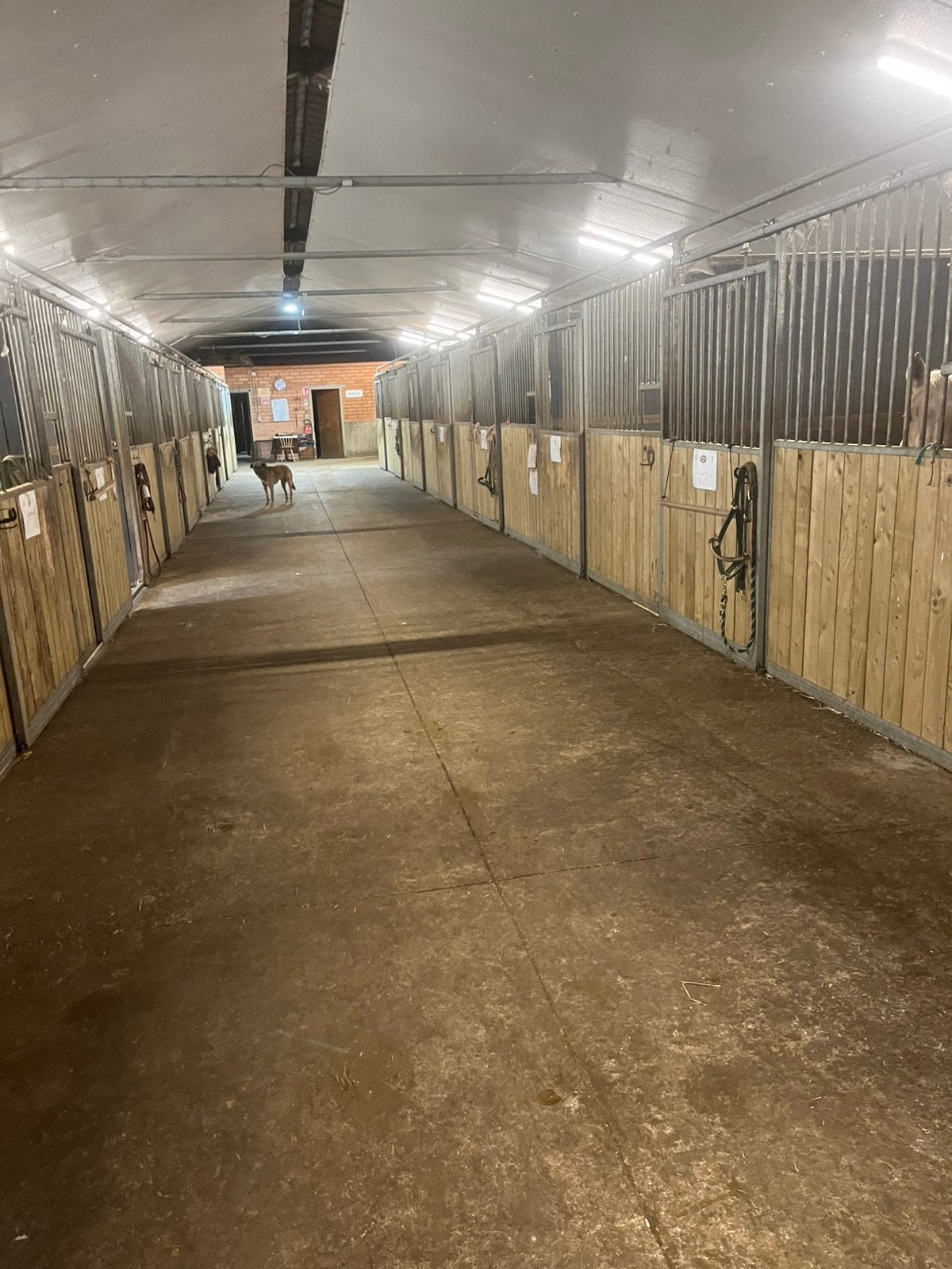 Stallen te huur, volpension, Mise à l'étable, 2 ou 3 chevaux ou poneys