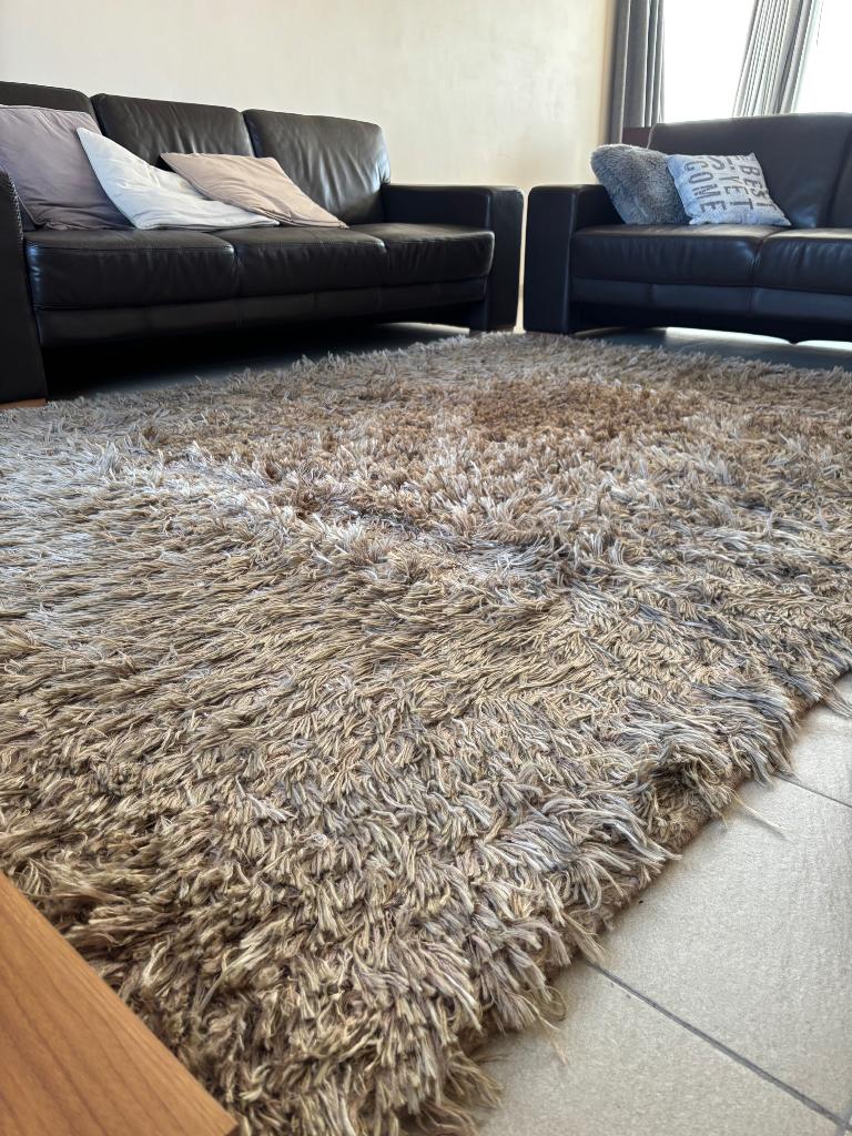 Modern tapijt merk Natuzzi, 200 cm ou plus, Beige, 150 à 200 cm, Enlèvement