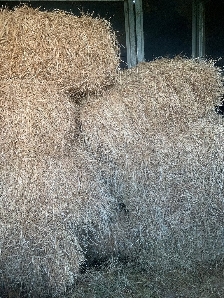 Hooi kleine botten, Dieren en Toebehoren, Ophalen