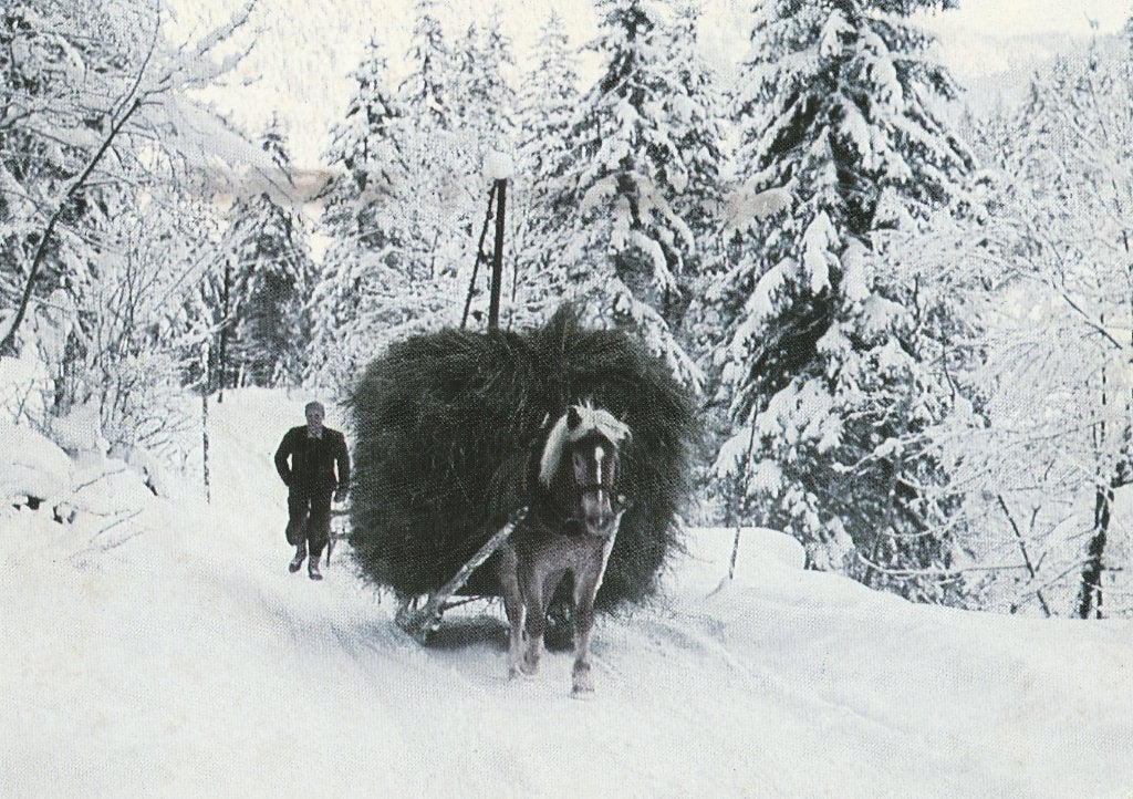 PAARD  TREKT  HOOIWAGEN  IN  OOSTENRIJK + Mooie postzegel !, Verzamelen, Postkaarten | Dieren, Verzenden, 1980 tot heden, Gelopen