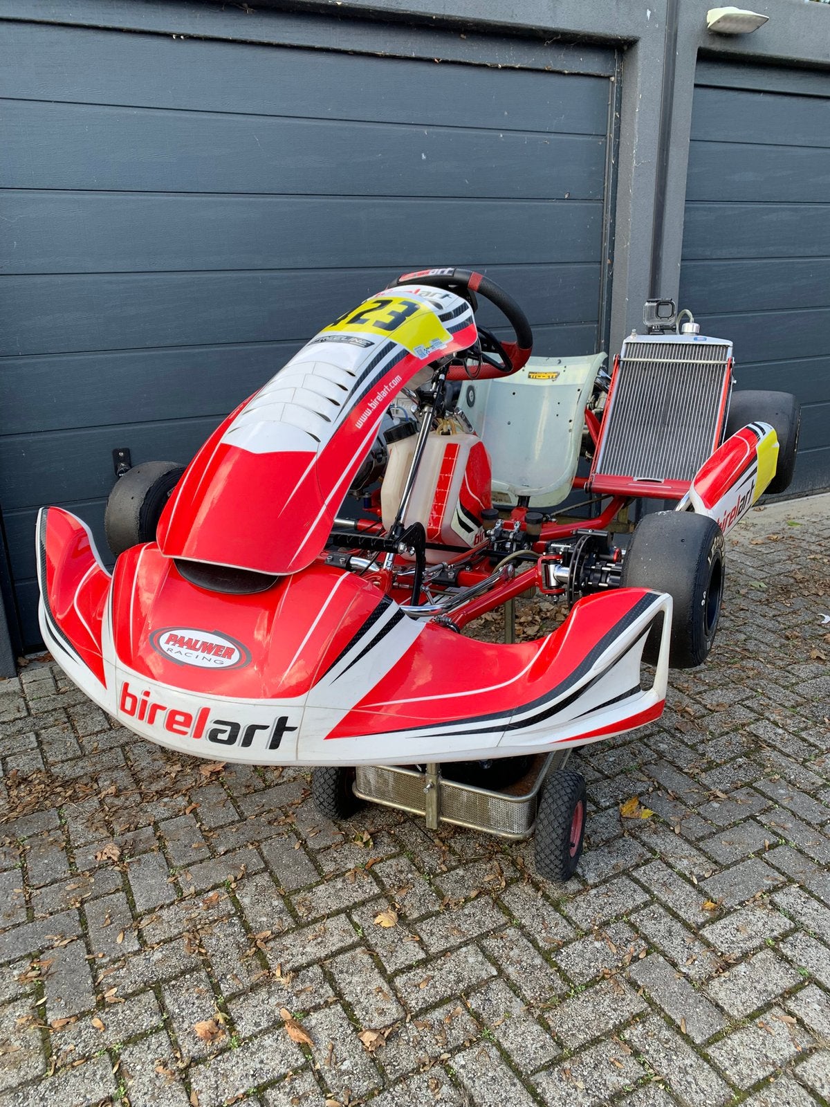 Birel S18 ry30 sh (PA special) schakel chassis rollend izgst, Sports & Fitness, Enlèvement, Comme neuf, Kart
