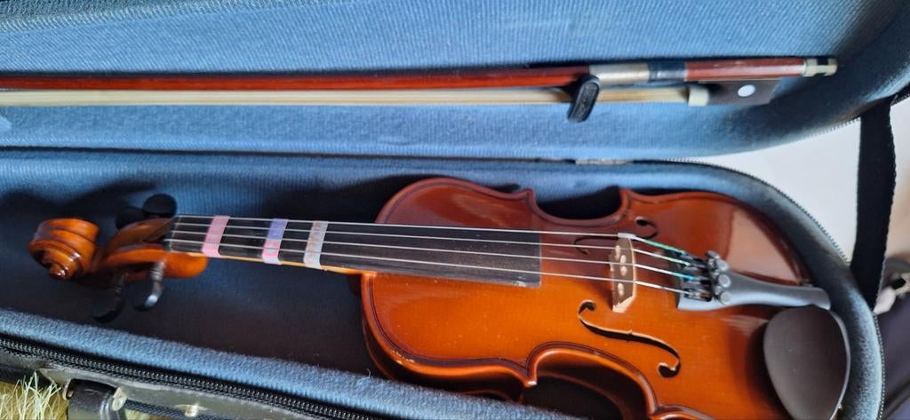 30 goede violen in alle maten te koop, moet dringend weg!!, Musique & Instruments, Instruments à cordes frottées | Violons & Altos