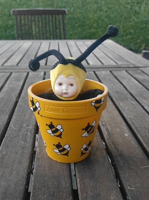 Anne Geddes baby bee bij flower pot met knuffel 2001, Ophalen, Gebruikt, Overige merken, Overige typen