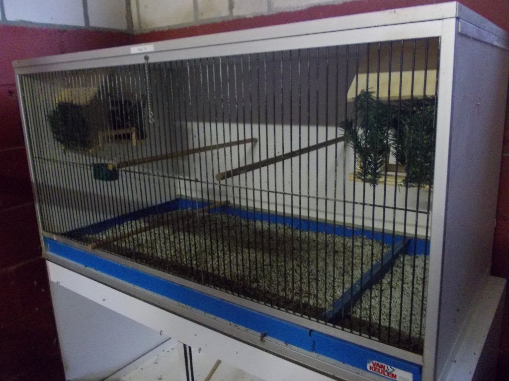 Vogel kweek kooi