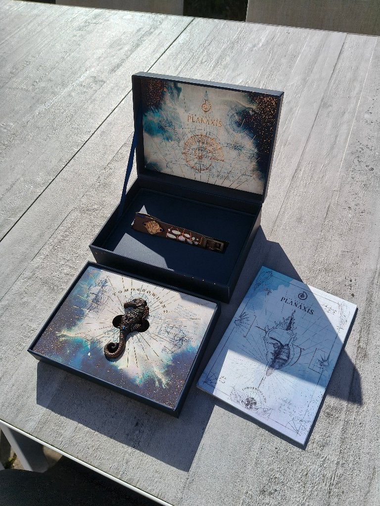 Tomorrowland 2018 The Story of Planaxis met bandje + ketting, Ophalen of Verzenden, Nieuw in verpakking, Dance