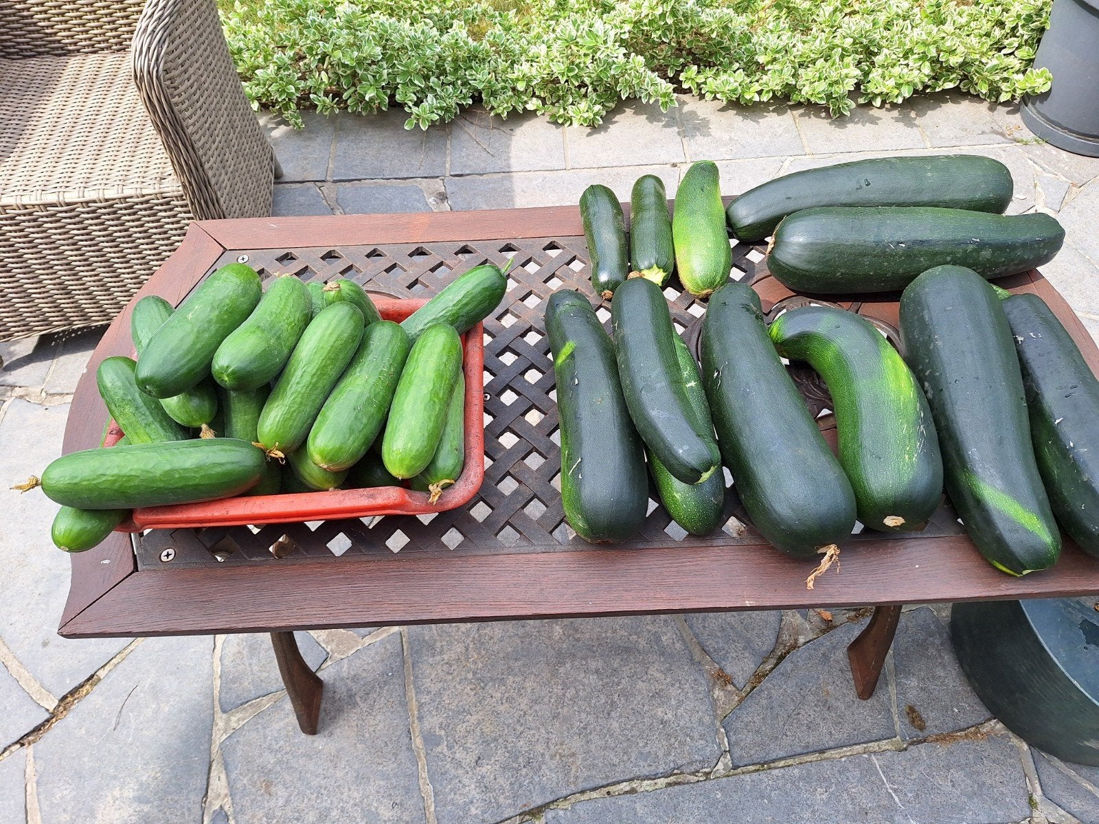 Surplus potager, Ophalen