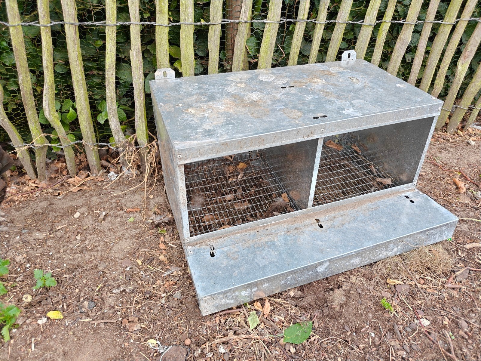leg nest voor kippen, Dieren en Toebehoren, Ophalen of Verzenden