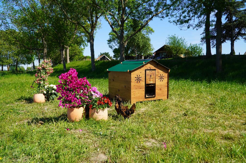 Trespa Kippenhok Cucciolotta | Chalet 2XL, Dieren en Toebehoren, Ophalen of Verzenden, Nieuw, Kippenhok of Kippenren