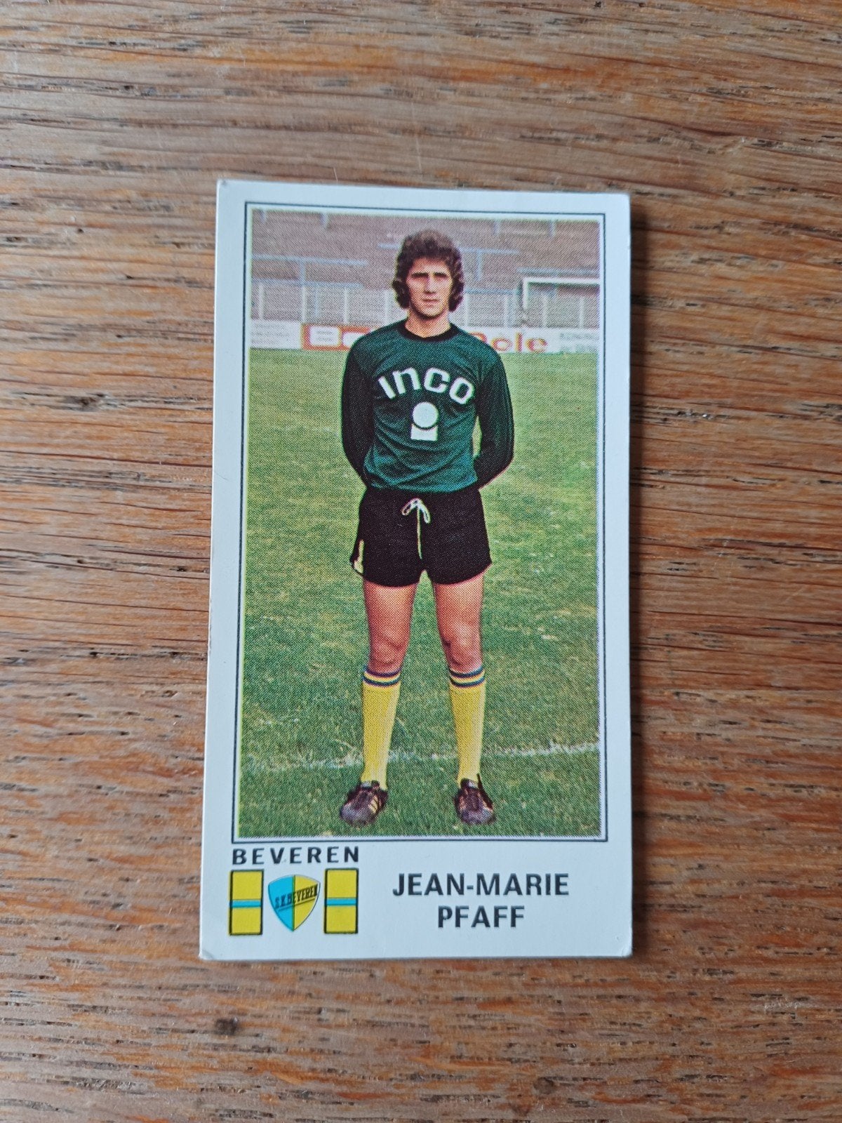 Panini Football 76 Belgium Jean-Marie Pfaff Nr 99, Collections, Enlèvement ou Envoi