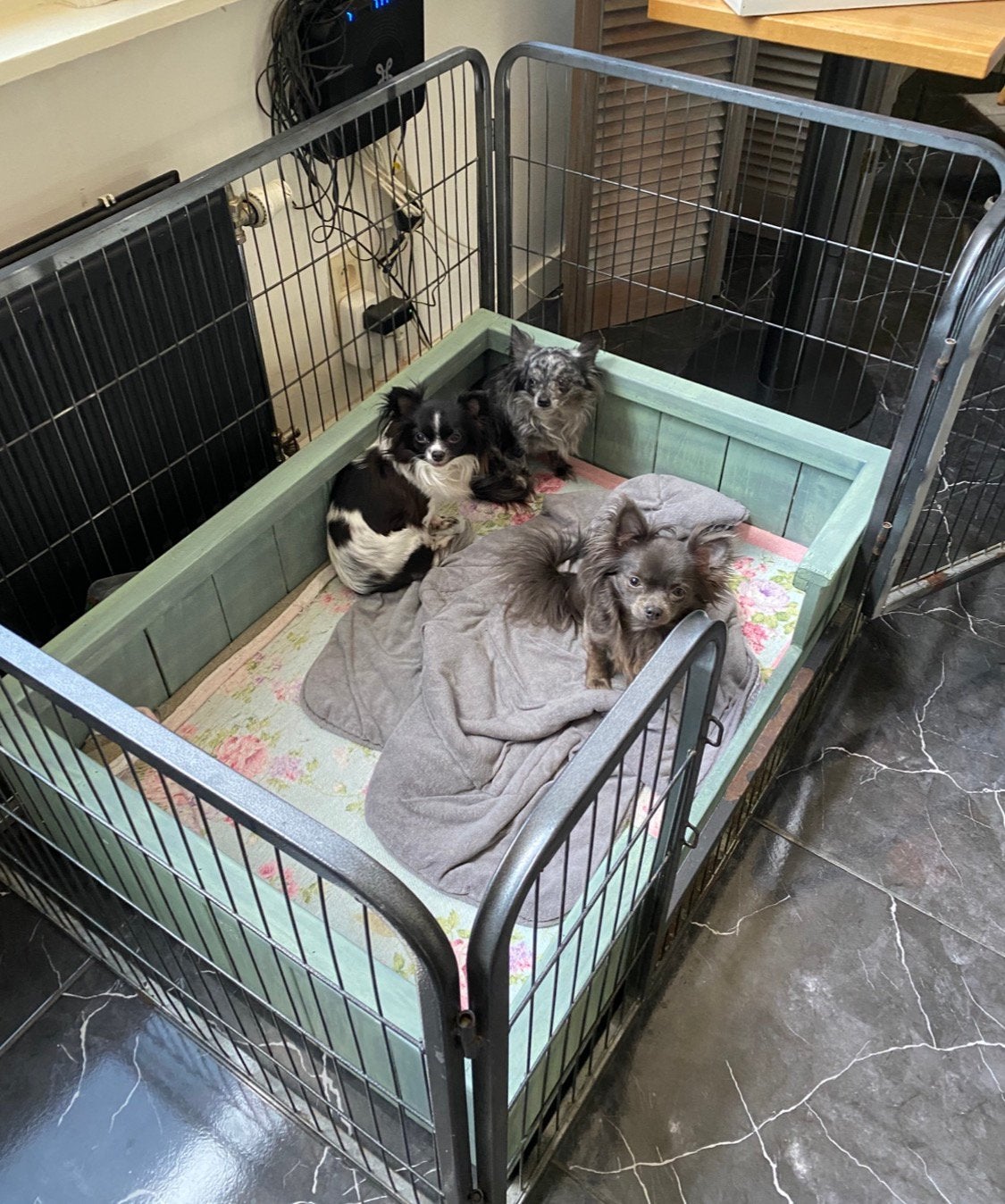 Houten honden mand, Enlèvement, Utilisé