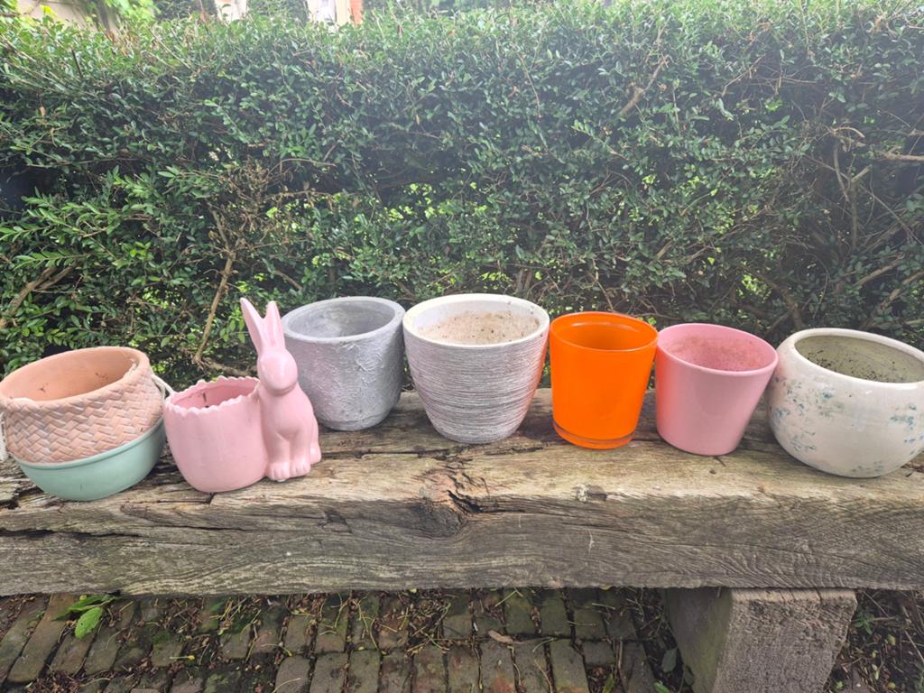 Gratis af te halen: Diverse plantenpotten, Tuin en Terras, Bloempotten, Ophalen