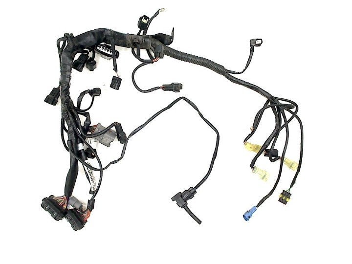 FAISCEAU DE CÂBLAGE MOTEUR KTM (60711085100), Dhr. S. di Majo, Utilisé, Info@cama-motorparts.nl, P.J. Troelstraweg 8 8
3144 CX  MAASSLUIS, NL