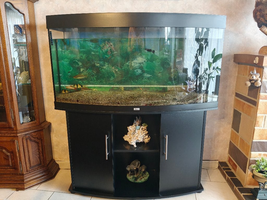aquarium à donner, Animaux & Accessoires, Poissons | Aquariums & Accessoires, Enlèvement, Pompe, Utilisé, Aquarium vide