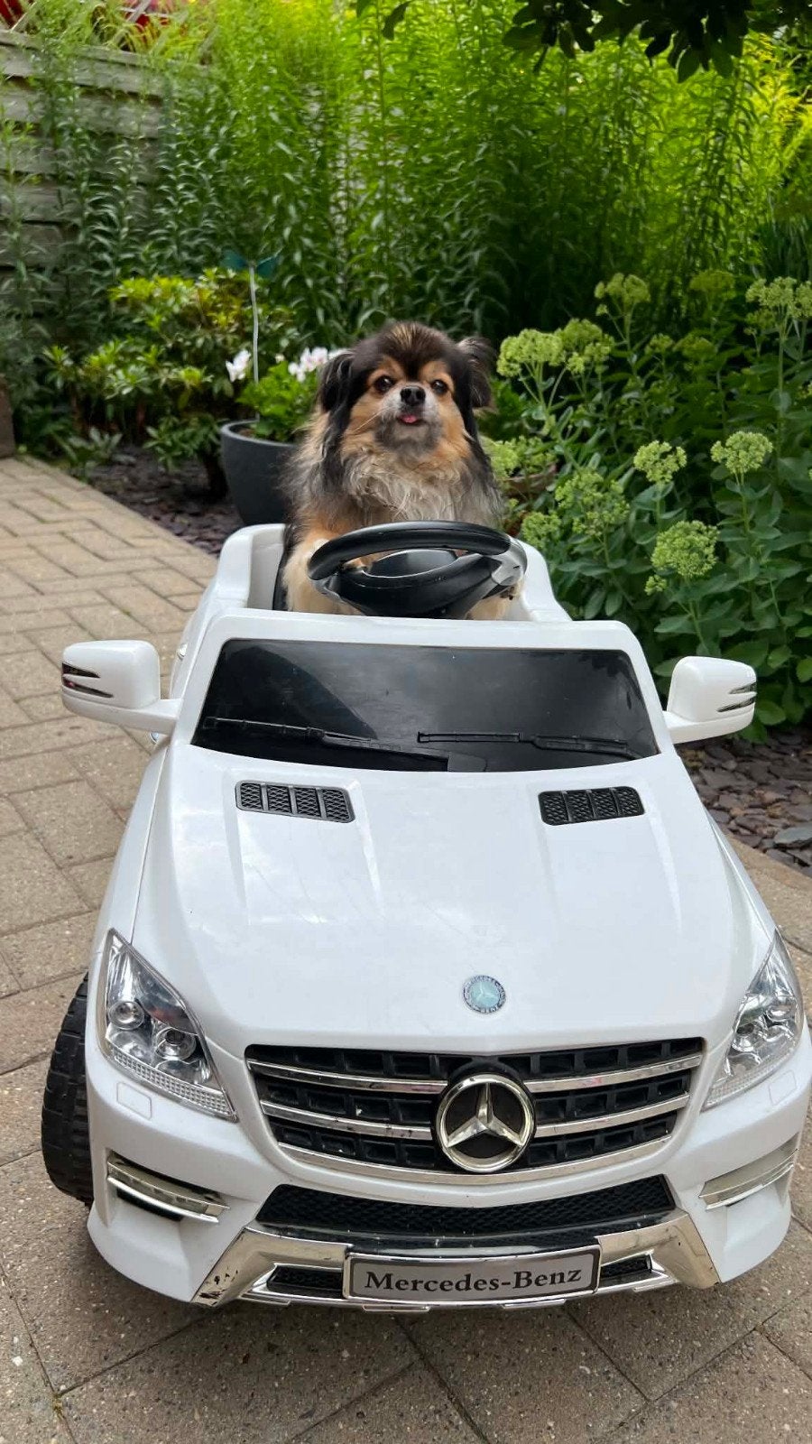Mercedes-Benz elektrische kinderauto, Ophalen, Gebruikt