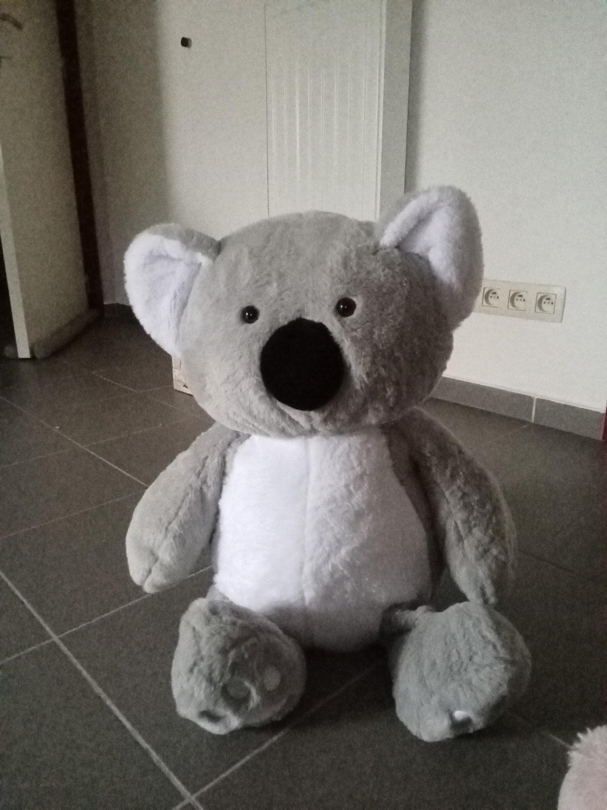Grote koala, Ophalen