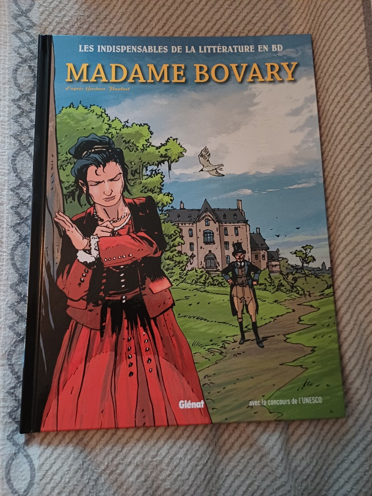 Madame Bovary - Les indispensables de la littérature en BD, Enlèvement ou Envoi, Neuf