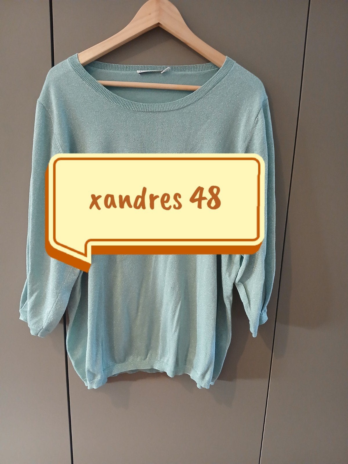 Truitje xandres 48, Kleding | Dames, Maat 46/48 (XL) of groter, Ophalen of Verzenden, Zo goed als nieuw, Xandres