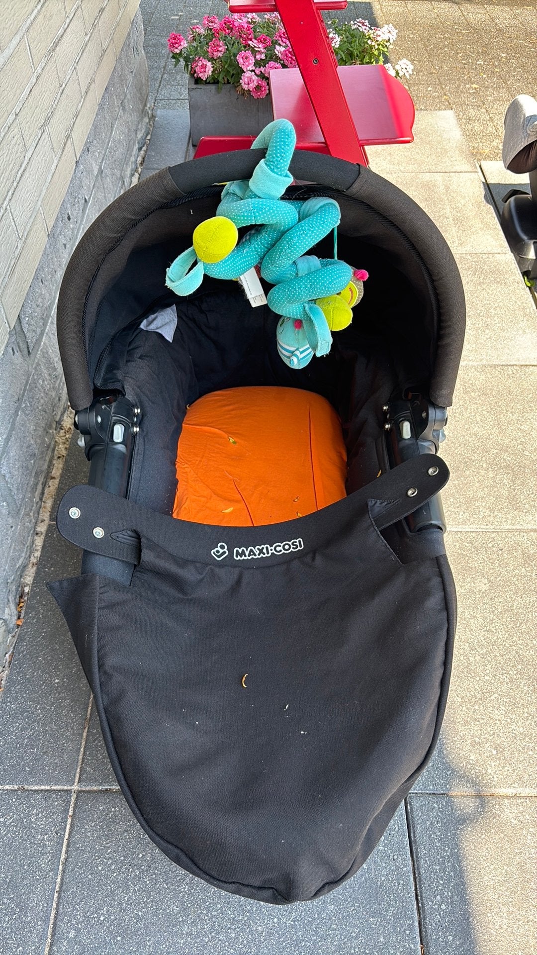 Draagmand, Kinderen en Baby's, Ophalen, Gebruikt