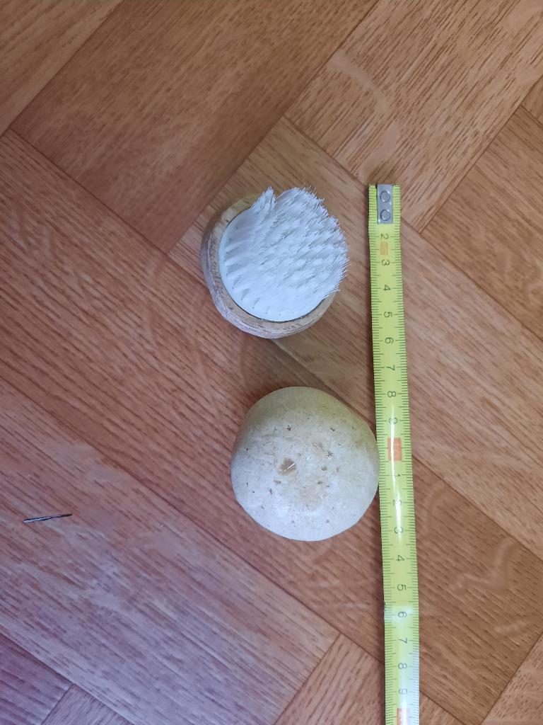 nieuwe champion borsteltjes, Ophalen of Verzenden, Nieuw