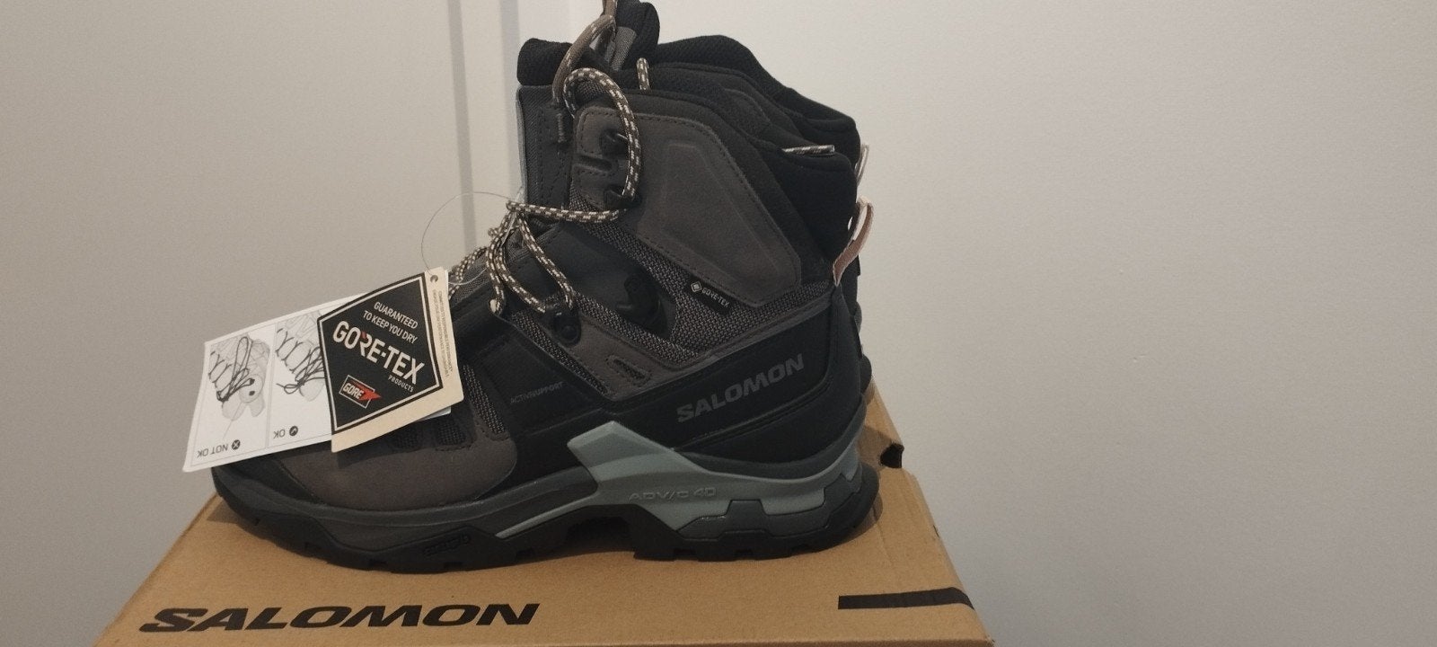 Chaussures Salomon Quest 4 Goretex, Enlèvement, Chaussures de marche