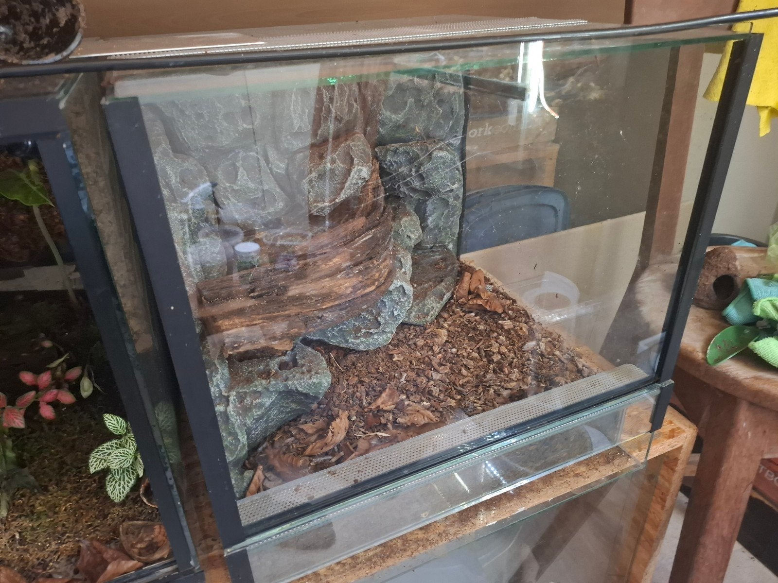 Terrarium 40x40x40, Dieren en Toebehoren, Ophalen, Terrarium of Paludarium