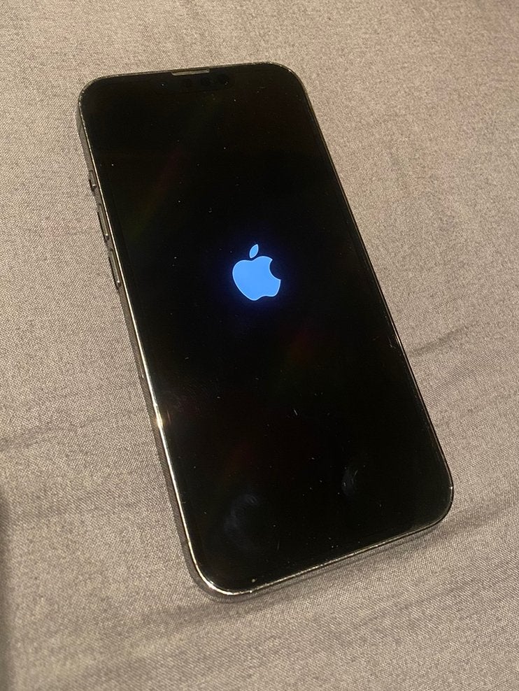 iPhone 13 Pro (DEFECT), Telecommunicatie, Mobiele telefoons | Apple iPhone, Ophalen of Verzenden, Niet werkend, IPhone 13