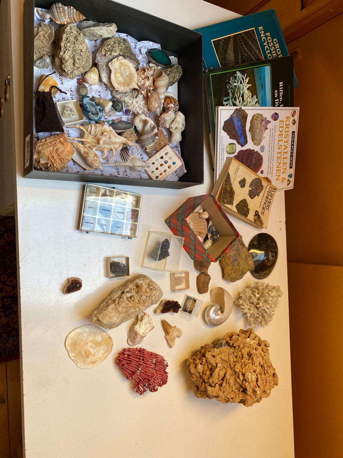 Fossielen-, mineralen- en schelpenverzameling, Verzamelen, Ophalen