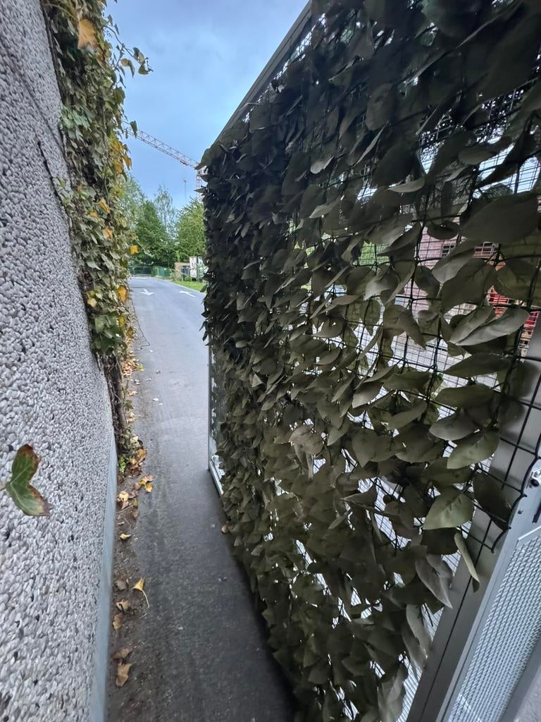 Voliere, Dieren en Toebehoren