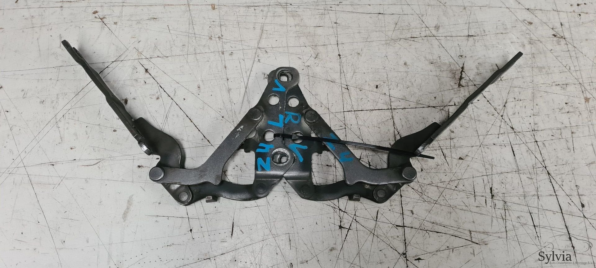 Motorkap Scharnier set BMW Z4 E85 E86 7016171 / 7016172, -, Utilisé, -, -