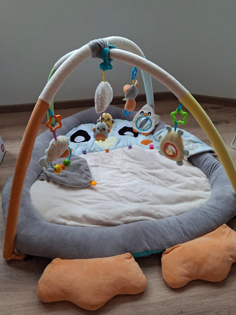 Tapis de jeu avec arcades - Tummy time multi gym (Playgro), Enlèvement, Utilisé
