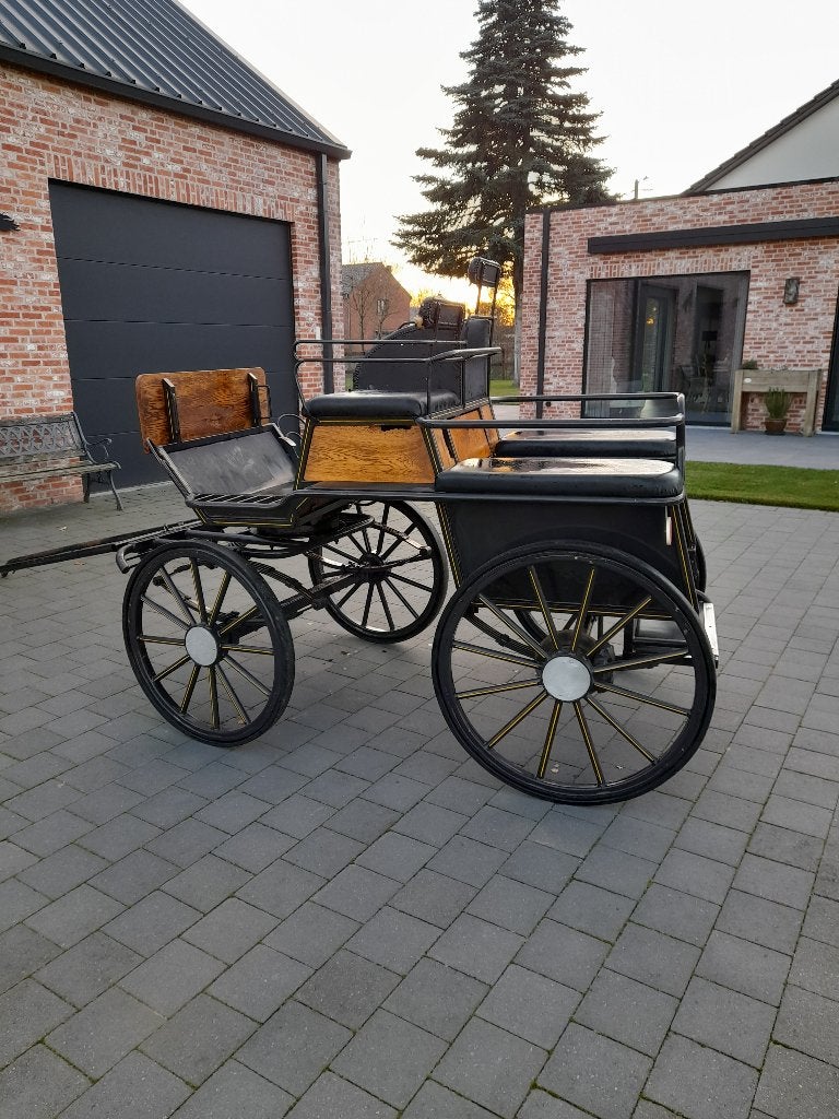 Koets, Dieren en Toebehoren, Gebruikt, Wagonette, Paard