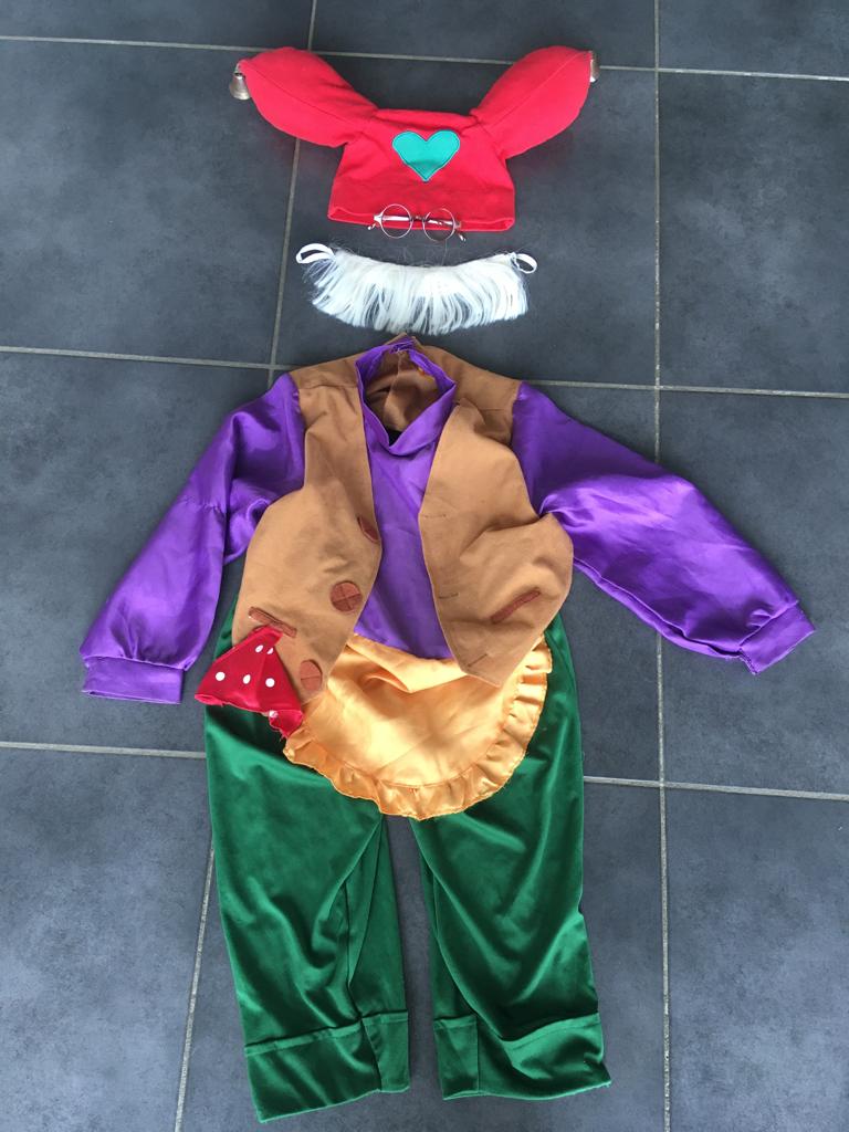 Plop verkleedpak 4-7 jaar, Kinderen en Baby's, Carnavalskleding en Verkleedspullen, Ophalen, Gebruikt, 110 t/m 116, Jongen of Meisje