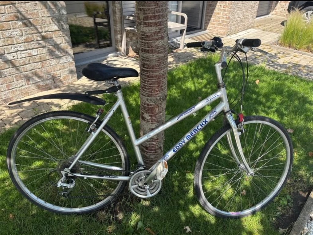 Eddy Merckx damesfiets, Fietsen en Brommers, Ophalen, Gebruikt, Overige merken