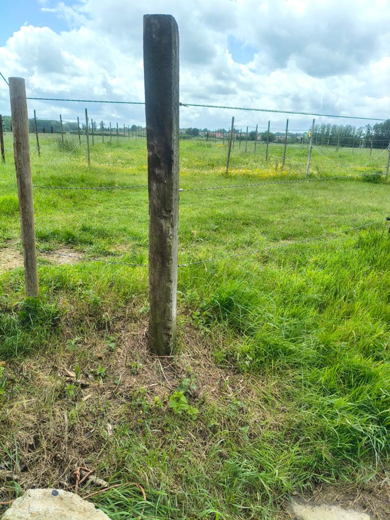 Bielzen, treinbils, Tuin en Terras, Ophalen, Gebruikt, Hout