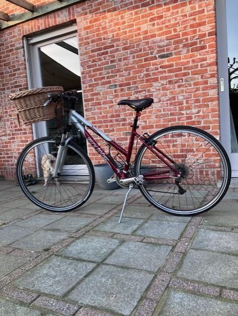 damesfiets, Vélos & Vélomoteurs, Vélos | Femmes | Vélos pour femme, Autres marques, Vitesses, Moins de 47 cm, Frein à rétropédalage