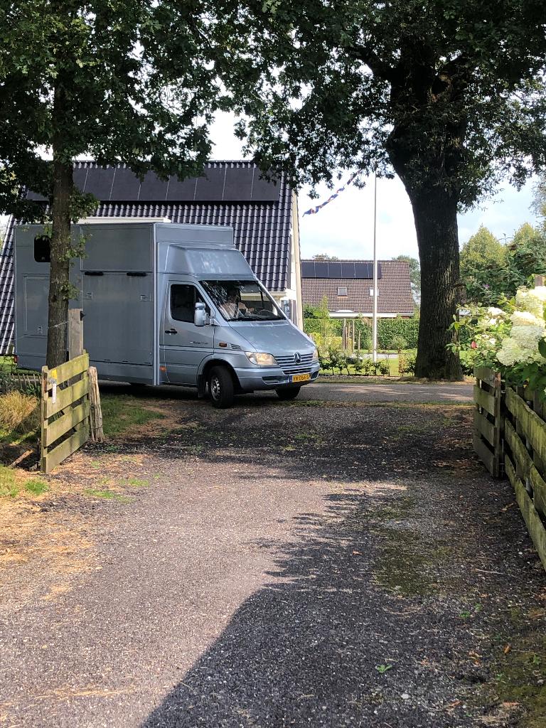 Paardenwagen camionette mercedes, Achat, Diesel, Automatique, Particulier