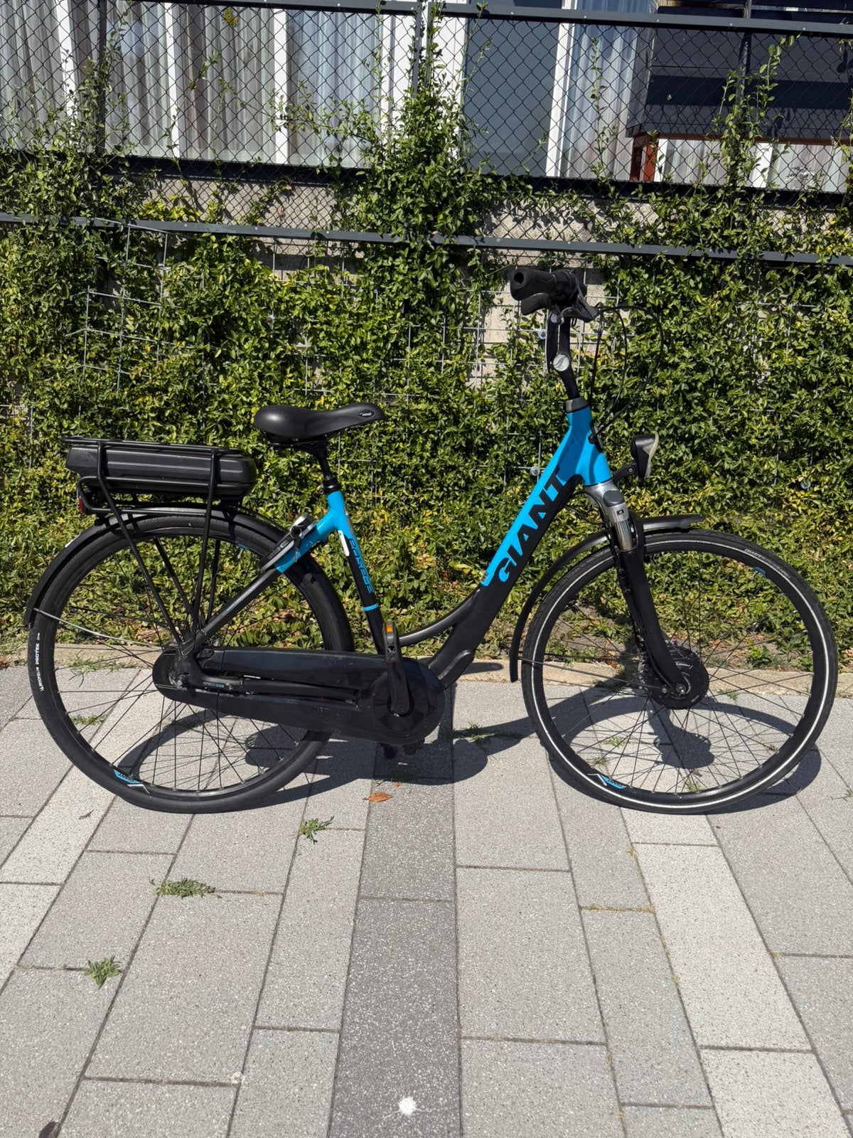 Giant Easy-E elektrische fiets – nieuwe Michelin achterband, Ophalen of Verzenden, Zo goed als nieuw, Giant